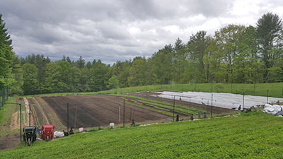 Sanborn Meadow Farm