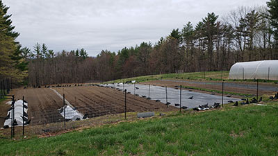 Sanborn Meadow Farm